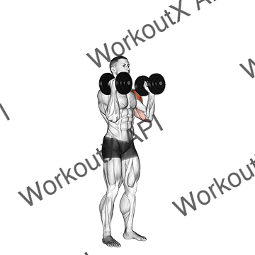 Dumbbell Alternate Side Press animated GIF