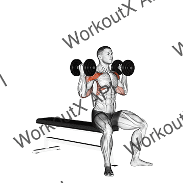 Dumbbell Arnold Press V. 2 animated GIF