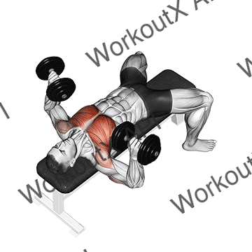 Dumbbell Bench Press animated GIF