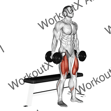 Dumbbell Bench Squat animated GIF