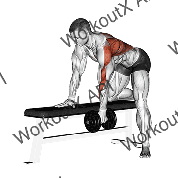 Dumbbell One Arm Bent-over Row animated GIF