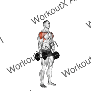 Dumbbell Cuban Press animated GIF