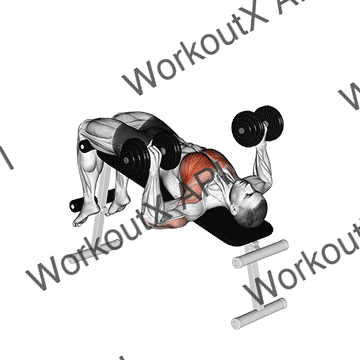 Dumbbell Decline Bench Press animated GIF