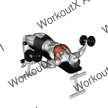 Dumbbell Decline Fly animated GIF