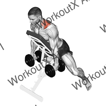Dumbbell Decline Shrug animated GIF