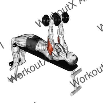 Dumbbell Decline Triceps Extension animated GIF