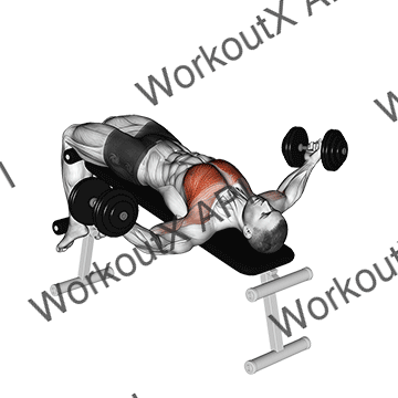 Dumbbell Decline Twist Fly animated GIF