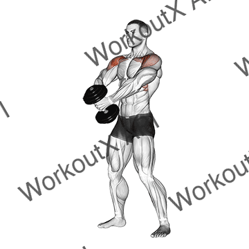 Dumbbell Front Raise V. 2 animated GIF