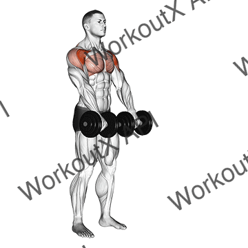 Dumbbell Front Raise animated GIF