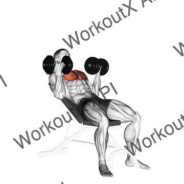 Dumbbell Incline Palm-in Press animated GIF