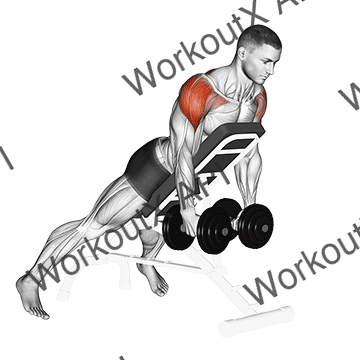 Dumbbell Incline Rear Lateral Raise animated GIF