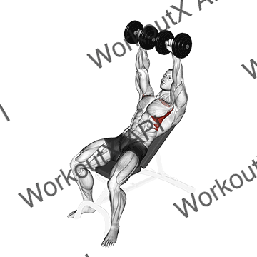 Dumbbell Incline Shoulder Raise animated GIF
