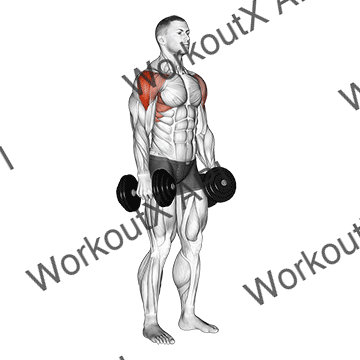 Dumbbell Lateral Raise animated GIF