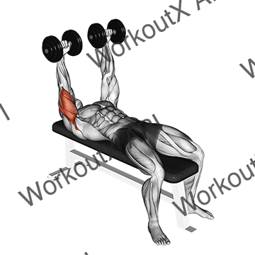 Dumbbell Lying Extension (across Face) animated GIF