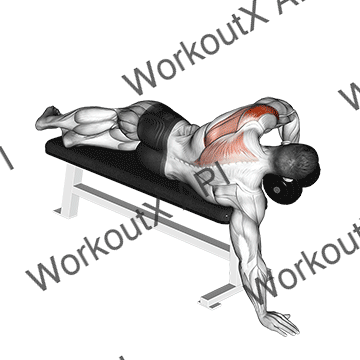 Dumbbell Lying One Arm Deltoid Rear animated GIF