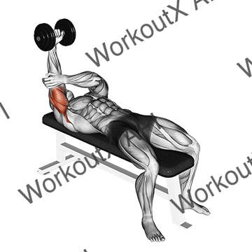 Dumbbell Lying One Arm Pronated Triceps Extension animated GIF