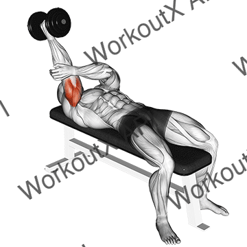 Dumbbell Lying One Arm Supinated Triceps Extension animated GIF