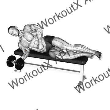 Dumbbell Lying Pronation animated GIF