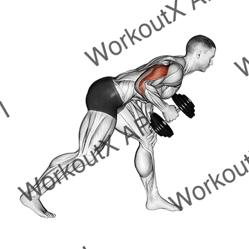 Dumbbell One Arm Kickback animated GIF
