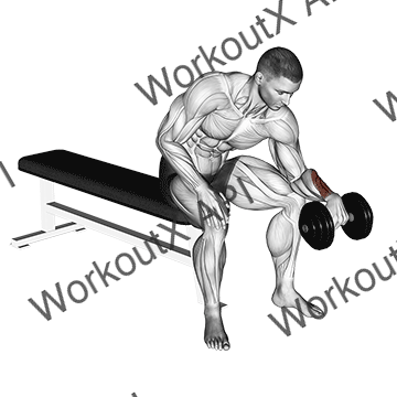 Dumbbell One Arm Reverse Wrist Curl animated GIF