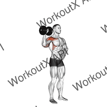 Dumbbell One Arm Shoulder Press V. 2 animated GIF