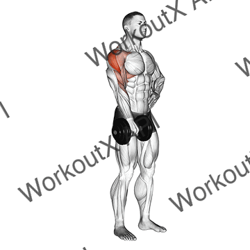 Dumbbell One Arm Upright Row animated GIF