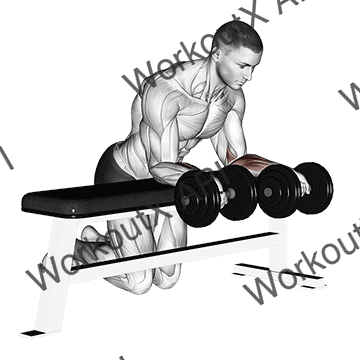 Dumbbell Over Bench Reverse Wrist Curl animated GIF