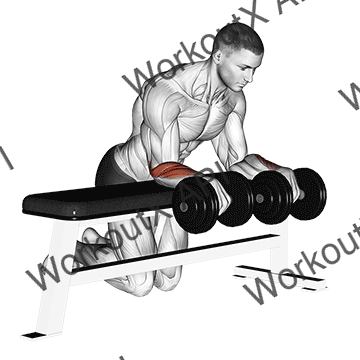 Dumbbell Over Bench Wrist Curl animated GIF