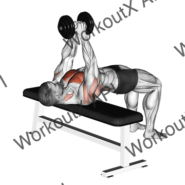 Dumbbell Pullover animated GIF