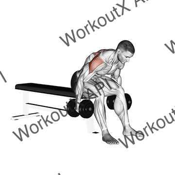 Dumbbell Rear Fly animated GIF