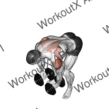 Dumbbell Rear Lateral Raise animated GIF