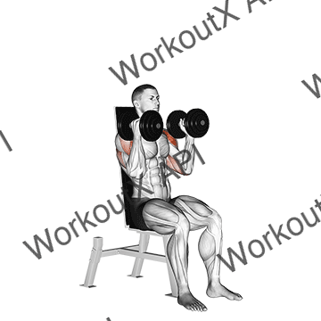 Dumbbell Seated Alternate Press animated GIF