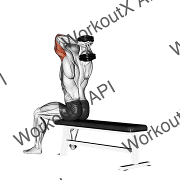 Dumbbell Seated Bench Extension animated GIF