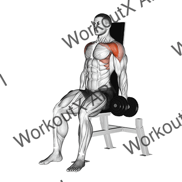 Dumbbell Seated Front Raise animated GIF