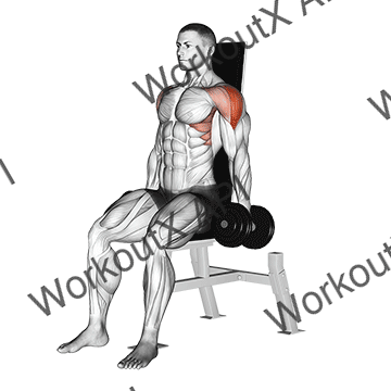 Dumbbell Seated Lateral Raise V. 2 animated GIF