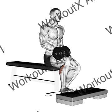 Dumbbell Seated One Leg Calf Raise animated GIF