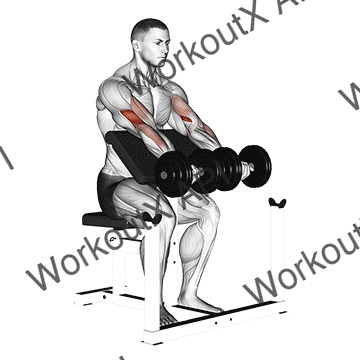 Dumbbell Seated Preacher Curl animated GIF
