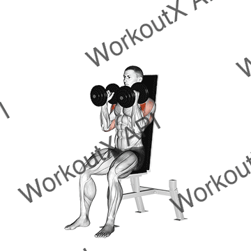 Dumbbell Seated Shoulder Press (parallel Grip) animated GIF