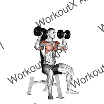 Dumbbell Seated Shoulder Press animated GIF