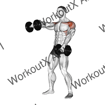 Dumbbell Standing Alternate Raise animated GIF