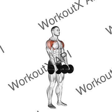 Dumbbell Standing Front Raise Above Head animated GIF
