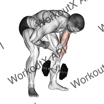 Dumbbell Standing One Arm Concentration Curl animated GIF