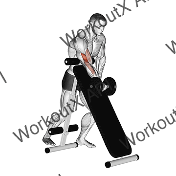 Dumbbell Standing One Arm Curl (over Incline Bench) animated GIF
