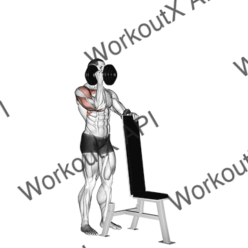 Dumbbell Standing One Arm Palm In Press animated GIF