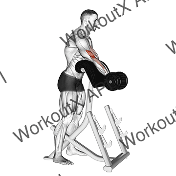 Dumbbell Standing Preacher Curl animated GIF