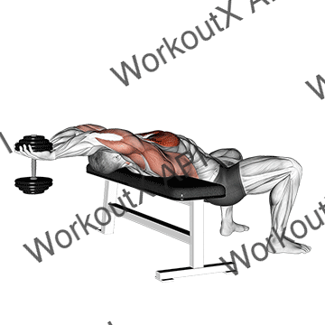 Dumbbell Straight Arm Pullover animated GIF