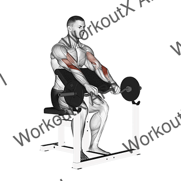 Ez Barbell Reverse Grip Preacher Curl animated GIF