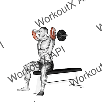 Ez Barbell Seated Triceps Extension animated GIF