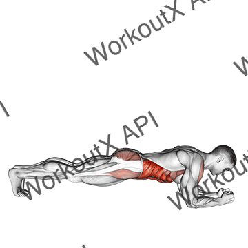 Front Plank With Twist animated GIF