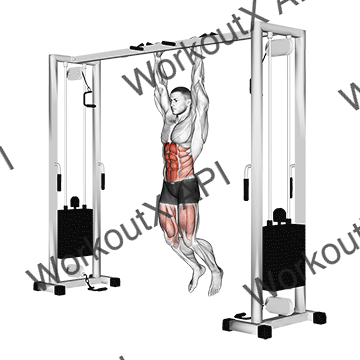 Hanging Straight Leg Hip Raise animated GIF